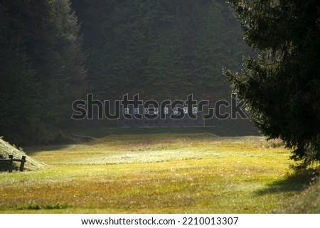 Scenic view of shooting range in the woods at mountain village Versam. Canton Graubünden, on a sunny autumn morning. Photo taken September 26th, 2022, Versam, Switzerland. Royalty-Free Stock Photo #2210013307