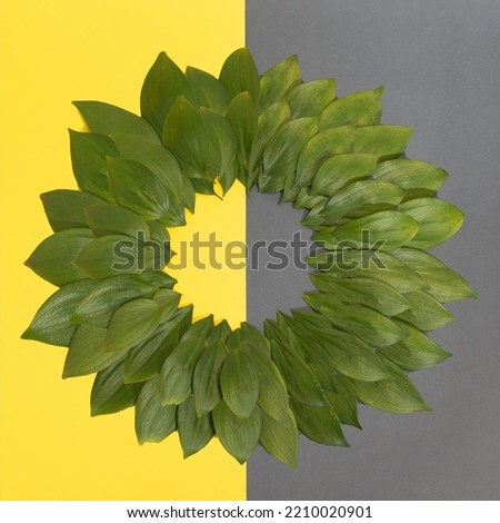 green leaves arranged in several circles on a gray yellow background