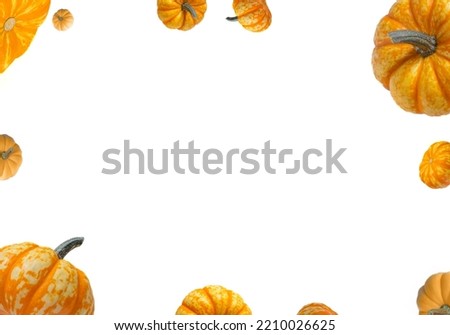 pumpkin frame. Pumpkin on a white background