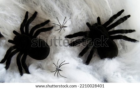 Halloween decor. Black spiders on a white web. Halloween design.