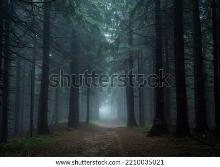 Gloomy and dark forest road during a foggy morning with the best mystic atmosphere in the east of Bohemia. Royalty-Free Stock Photo #2210035021
