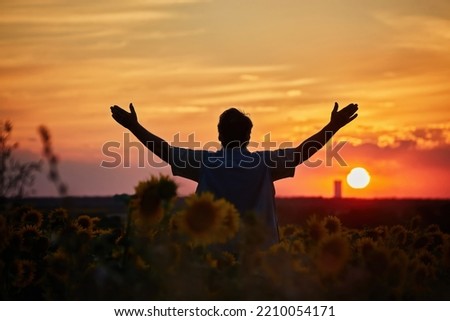 Silhouette of happy successful corn farmer in cornfield in sunset with arms raised in the air, confident farm worker expecting good harvest