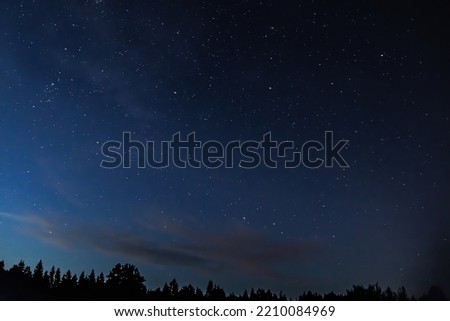 Night starry sky over forest. Tree silhouettes against  backdrop of stars. Natural background. Astrophotography, scientific observations of space and solar system.