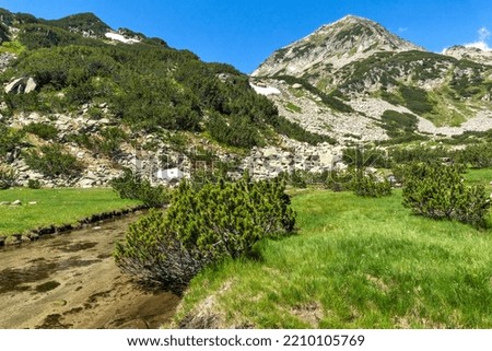 Amazing Landscape near Banderitsa River at Pirin Mountain, Bulgaria