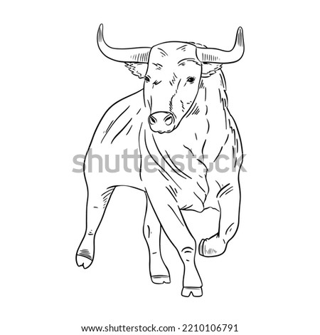 Bull outline vector illustration. Isolated on white background.