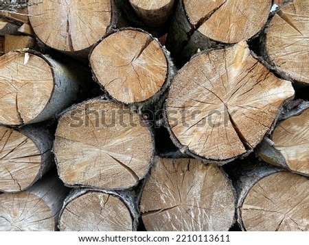 Pile of logs, Chopped firewood logs for wood fuel, biomass, winter heating and heat energy from wood combustion, energy engineering, timber heat