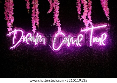 A neon sign reading "Dream Come True" is lit up in front of a photo backdrop of faux grass and feathers. 