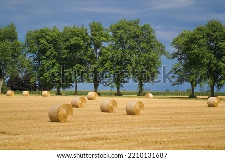 Bales of Hay in the Field near Elora, Ontario, Canada
