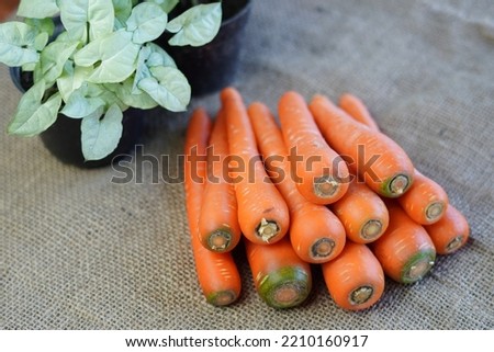 carrot isolated on the wheat cloth