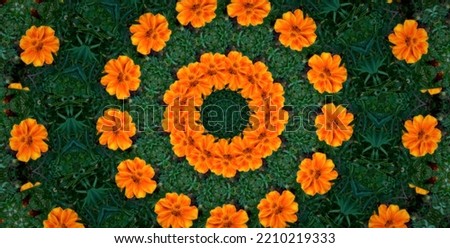 Beautiful Kaleidoscope or pattern of Marigold or Tagetes erecta flowers
