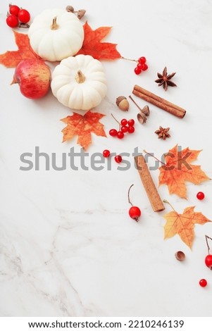 autumn natural decor on white marble background