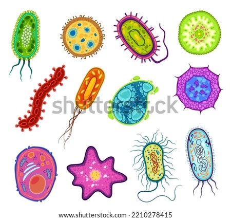 Protozoa, protista and amoeba microorganism cells, vector micro organism. Ameba and protist unicellular cells in lab microscope, protozoan eukaryotic organism types Royalty-Free Stock Photo #2210278415
