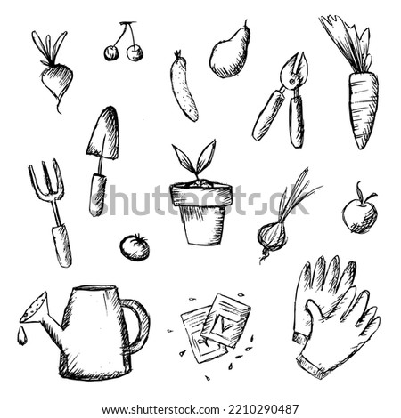 collection of icons everything for the garden spring gardening sketch. Vector