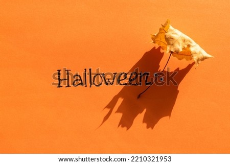 Halloween idea. The inscription Halloween on an orange background next to the shadow from an oak leaf in the form of a ghost with eyes. Festive background.