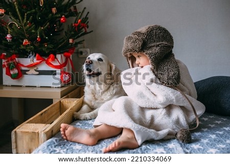 Cute child and his labrador retriever at home on the bed near the Christmas tree
