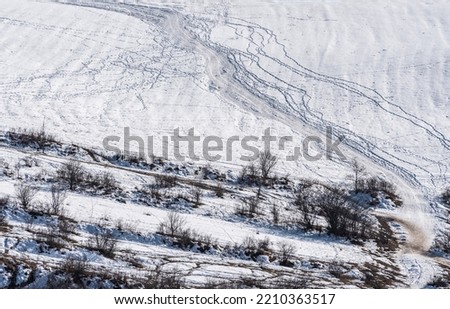 path in the snow in nature, trail of animals, snowy landscape