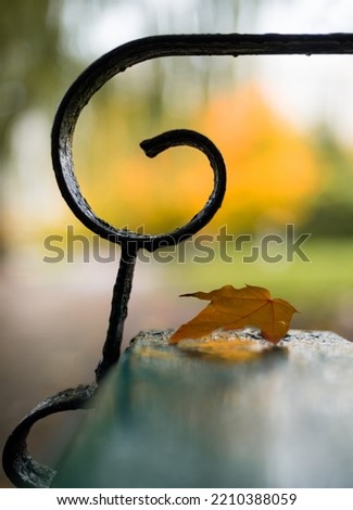 Fall picture: a yellow leaf lies on a bench against a blurred yellow tree