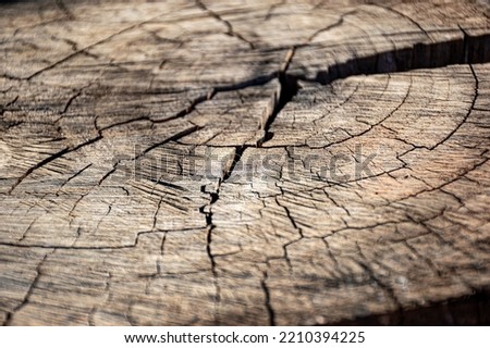 Beautiful texture of broken wood.