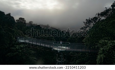 Canopy Walk way at Queen Sirikit Botanic Garden, Chiangmai, Thailand, Picture in dark tone for background	
