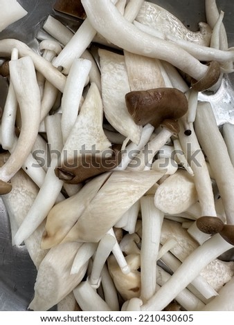 picture of mushrooms being cut into a container  to be used as a raw material in the cooking of Thai people in Thailand