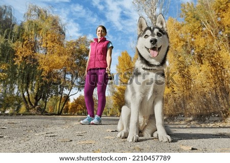 Wide angle picture of a husky dog at the walk