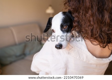 Sad adopted dog face peeking over the shoulder of the owner. Trust and care of your pet. Adorable black and white pet hugging owner curly hair young woman back. gratitude for taking care. Horizontal Royalty-Free Stock Photo #2210470369