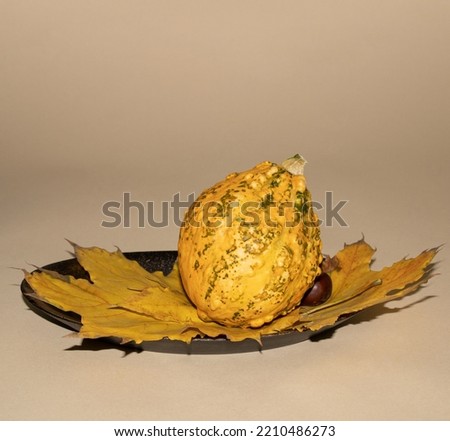 Yellow pumpkin on dry leaves on a beige background.