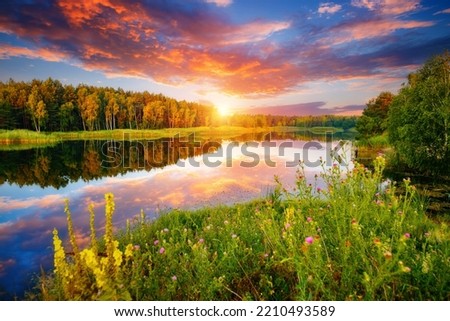 A wonderful view of a quiet lake in the forest in the evening. Location place Small Polissya, Ukraine, Europe. Photo of nature concept. Perfect summertime wallpaper. Discover the beauty of earth.