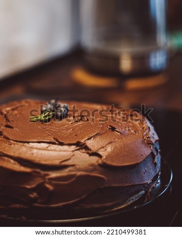 Chocolate ganache cake aesthetic picture