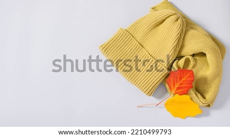 Autumn concept, warm cozy knitwear hat scarf autumn leaves on a light pastel background. Minimalism