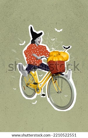 Creative 3d photo artwork graphics painting of carefree lady witch rising bike isolated drawing background
