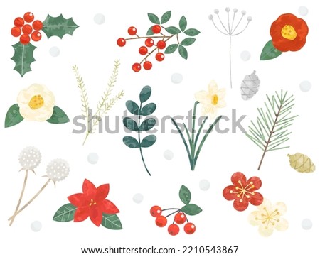 A set of illustrations that image winter plants.