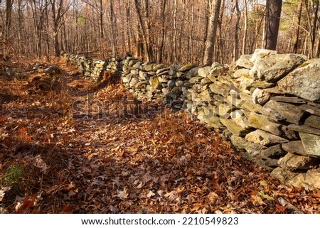 Trail along a stone wall in autumn at Whitaker Woods in Somers, Connecticut. Royalty-Free Stock Photo #2210549823