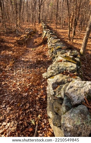 Trail along a stone wall in autumn at Whitaker Woods in Somers, Connecticut. Royalty-Free Stock Photo #2210549845