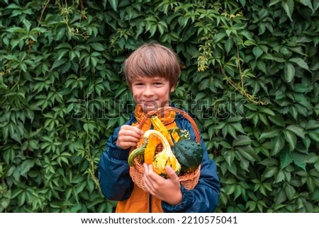 Happy toddler boy with basket decorative pumpkins in hands. Autumn concept.