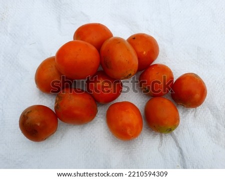 fresh tomatoes on a white sack