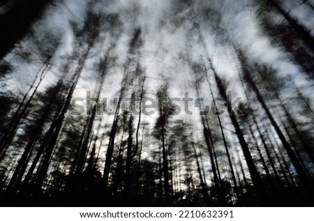 Dark evergreen forest. Tree silhouettes, dramatic sky, wind. Motion blur, aquarelle effect. Picturesque scenery, abstract art, texture, background. Atmospheric landscape