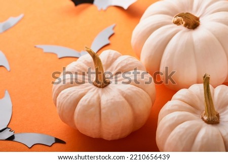 Halloween background. Flock of black bats, spider, pumpkin, and leaves for Halloween. Black paper bat silhouettes on orange background. Autumn decoration. Halloween concept. Top view.