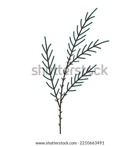 Hand drawn Christmas tree branch isolated on white background. Decorative doodle sketch illustration. Vector floral element.