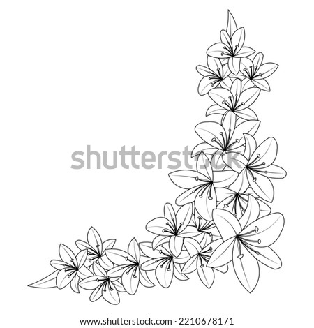 lily flower coloring page book illustration with decorative line art vector and lilium drawing flower. decorative zentangle art drawing clip art zen doodle coloring flower. 