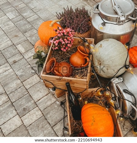 Orange pumpkin, clay jugs lie with straw in wooden boxes, next to iron cans, pumpkins and a basket of lavender. Autumn decorations.