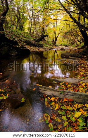 Small overfall in autumn colors