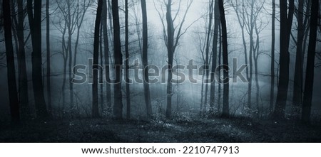 high resolution dark fantasy forest panorama
