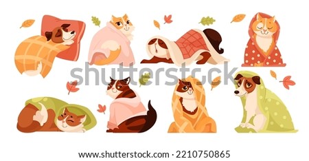 Cute cat and dog characters in blankets vector illustrations set. Cartoon drawings of adorable comic domestic animals in warm clothing isolated on white background. Autumn or fall, pets concept Royalty-Free Stock Photo #2210750865