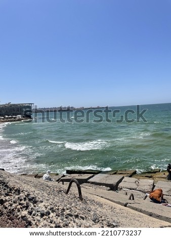 A picture of the Mediterranean beach in Alexandria, Egypt