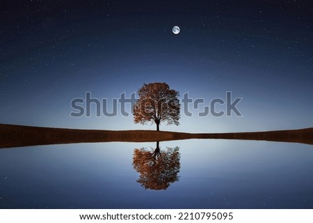 Lonely Tree standing alone in Lake waiting for someone. Beautiful sky with big moon shining with stars Royalty-Free Stock Photo #2210795095