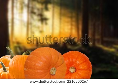 Halloween background. Five pumpkins in front of a glow in the dark abstract mystic forest at night with space for design. Halloween template.