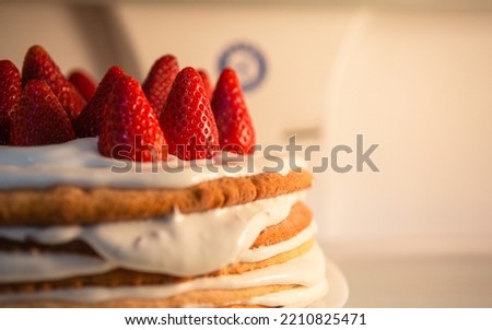 Strawberry cake. Homemade sponge cake with whipped cream and strawberry pieces. 