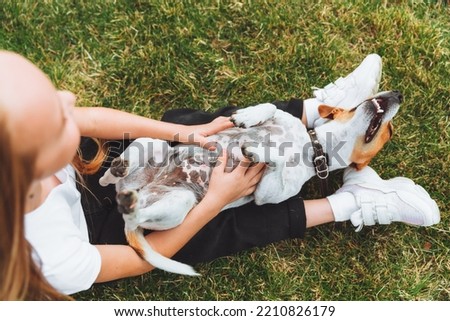 a little baby girl scratches the belly of her Jack Russell Terrier dog. A happy dog is lying on the green grass in the park. a pet Royalty-Free Stock Photo #2210826179