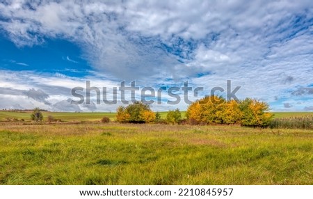 Autumn lanscape colour trees and meadow Royalty-Free Stock Photo #2210845957